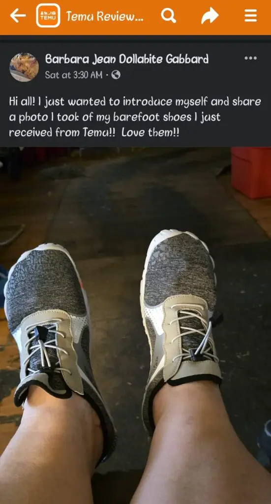 Temu Reviews: Is Temu Legit? Honest Temu Review With Photos